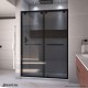 Encore Bypass Sliding Shower Door